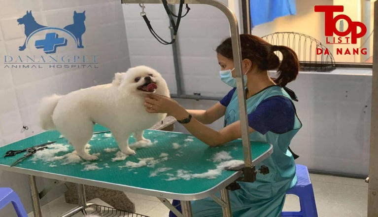 Ngoài khám chữa bệnh, Danangpet còn cung cấp dịch vụ spa cho thú cưng