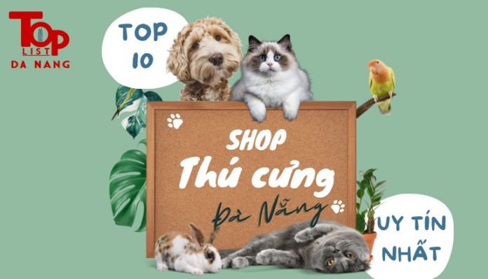 top 10 shop thú cưng Đà Nẵng