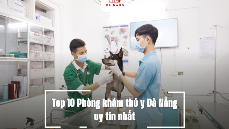 Top 10 Phòng khám thú y Đà Nẵng uy tín nhất