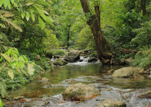 Suối Tiên Đà Nẵng